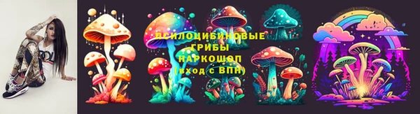 2c-b Горно-Алтайск