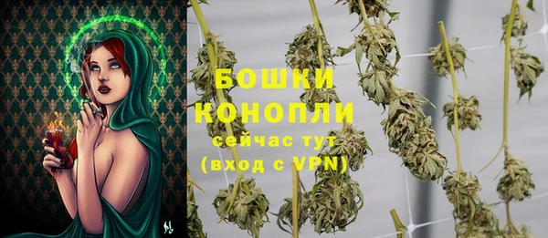 ПСИЛОЦИБИНОВЫЕ ГРИБЫ Горнозаводск