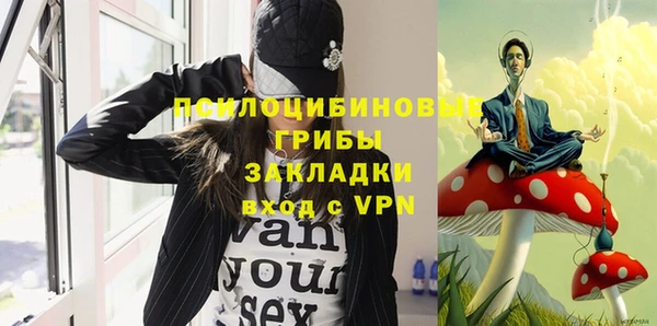 прущие крисы Козловка