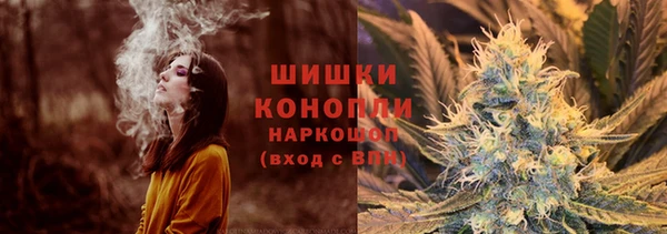 2c-b Горно-Алтайск